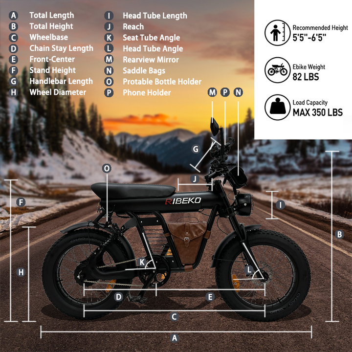Cool Electric Bike for Adults, 1200W Fat Tire Ebike, Up to 32.5MPH Electric  Bicycle 48V/20Ah Removable Battery, 20 Inch E Bike Adult Electric
